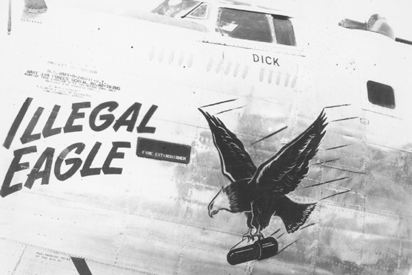Illegal Eagle