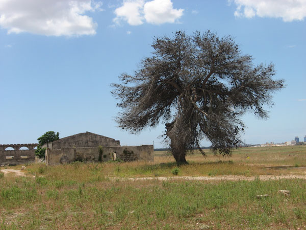 14 Remains of building at airbase